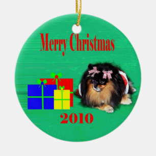2010 peb 2 ceramic ornament