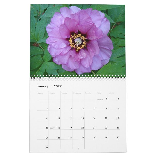 2010 Peony Calendar (Jan 2027)