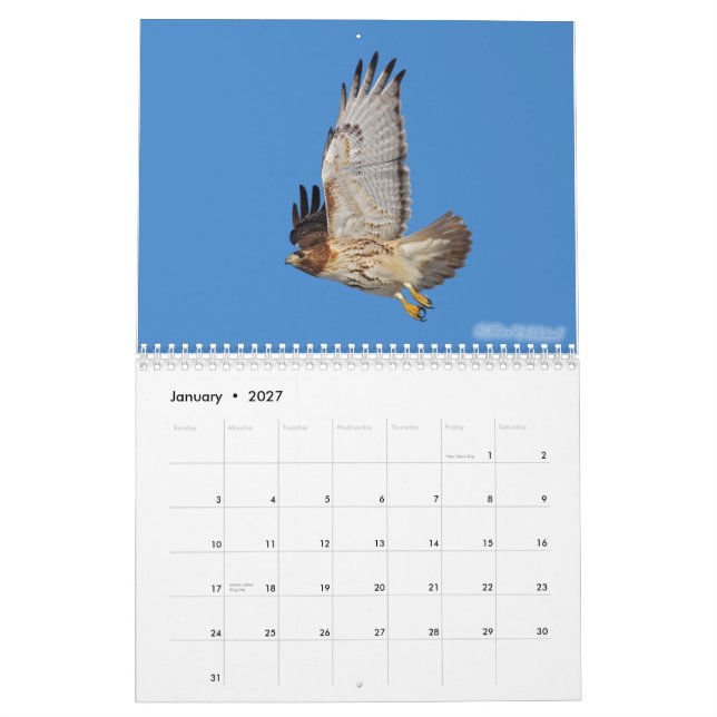 2010 Raptor Calendar (Jan 2027)