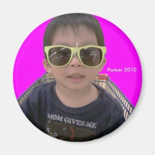 2010 Sunglasses Magnet