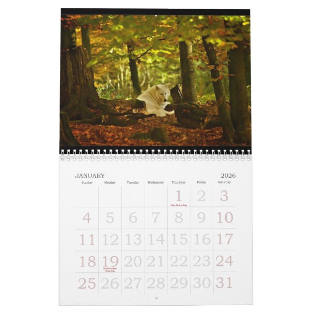 2010 Wolf Calendar (Jan 2026)