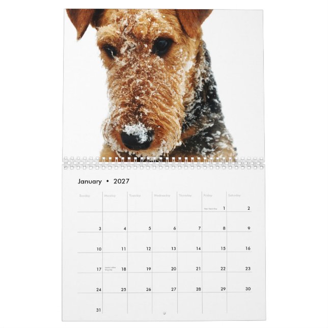 2011 Airedale Terrier Calendar (Jan 2027)