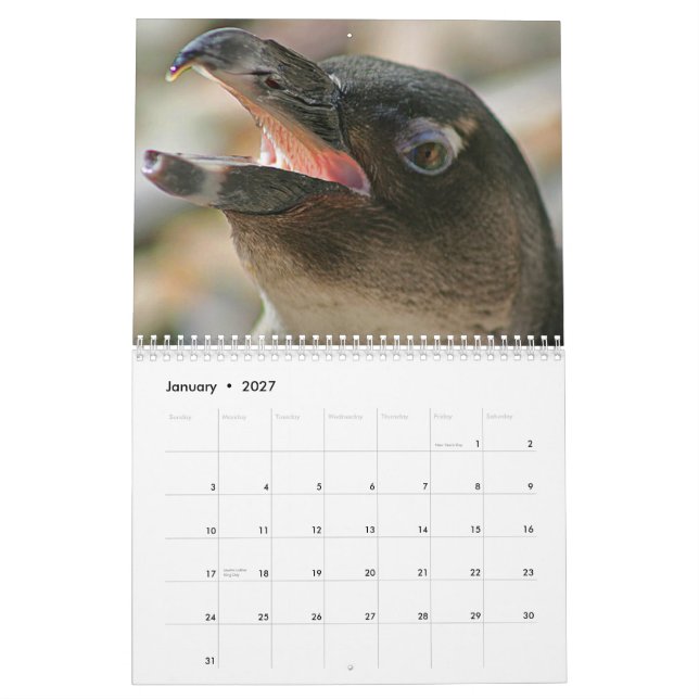 2011 Animal Calendar created by Aremac Gallery (Jan 2027)