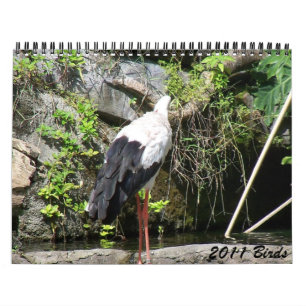 2011 Birds Calendar