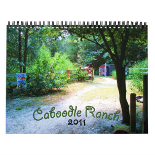 2011 Caboodle Calendar