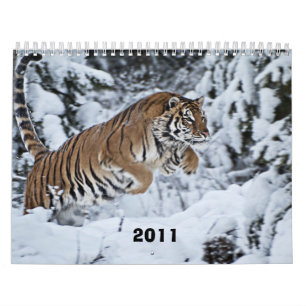 2011 Calendar