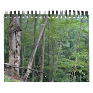 2011 Calendar
