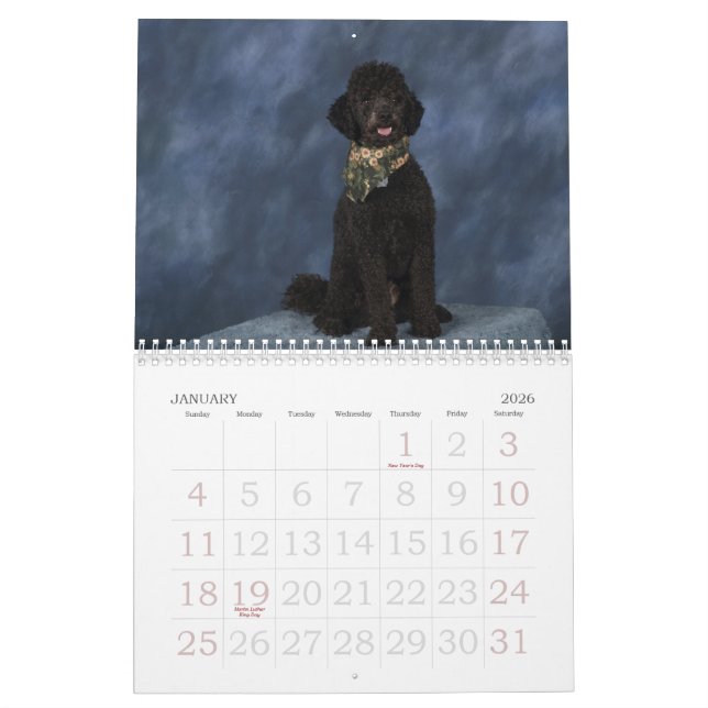 2011 CALENDAR (Jan 2026)