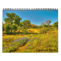 2011 Cardinal Photo Calendar