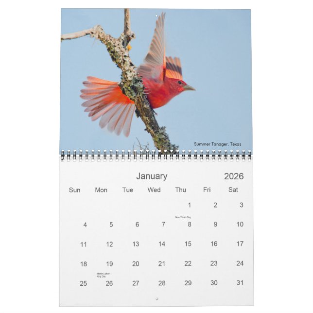 2011 Cardinal Photo Calendar (Jan 2026)
