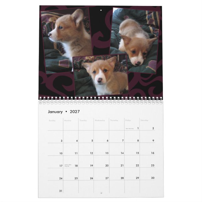 2011 Pembroke Welsh Corgi Calendar (Jan 2027)