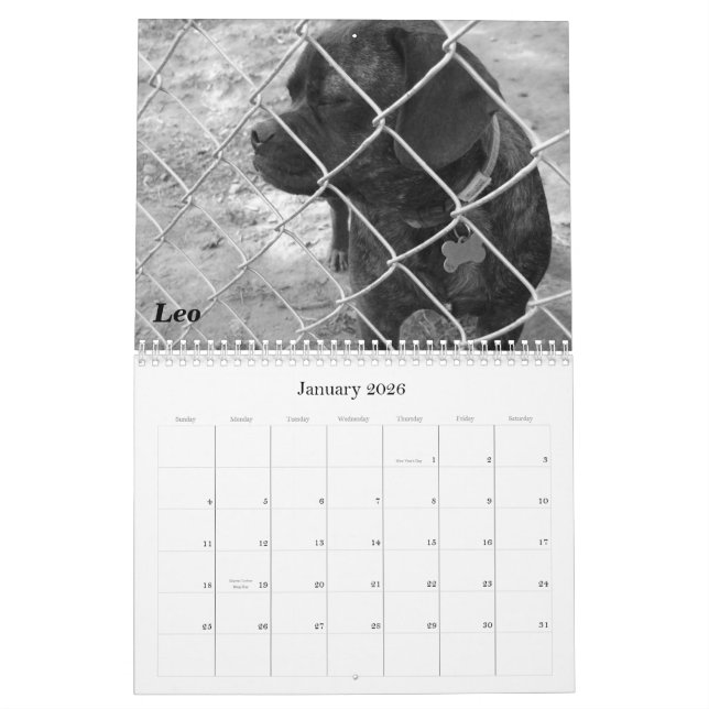 2011 Pet Calendar: Cats & Dogs Calendar (Jan 2026)