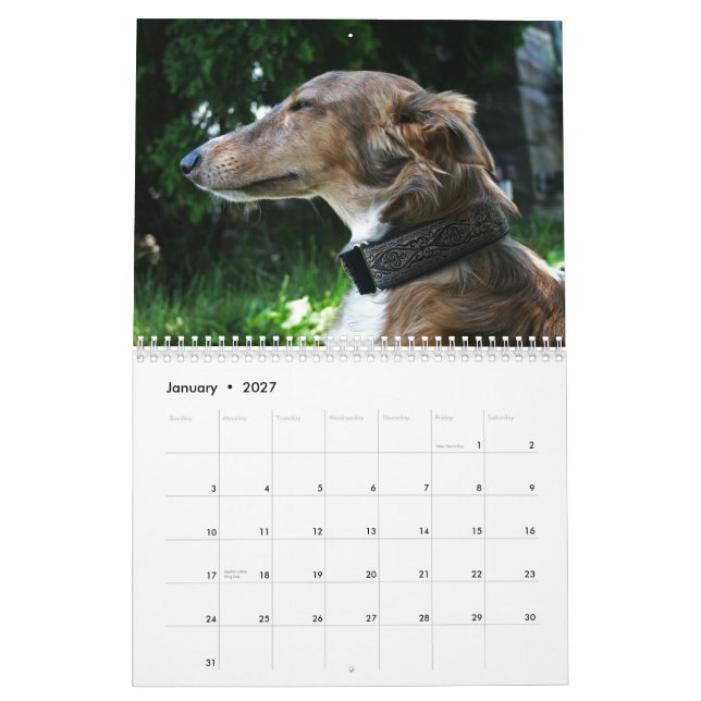 2011 Silken Windhounds 2011 (adults) Calendar (Jan 2027)