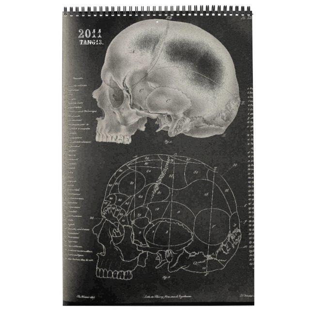 2011 SKULL/SKELETON/ANATOMY -Tang13. Calendar (Cover)