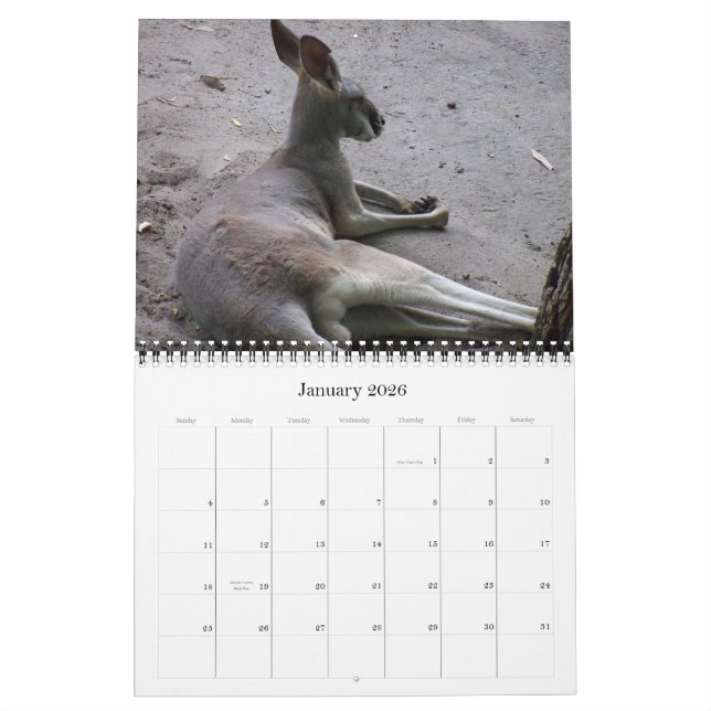 2011 Wildlife Calendar (Jan 2026)