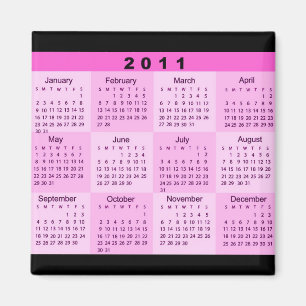 2011 Year at a Glance Calendar Magnet