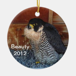 2012 Beauty Ornament