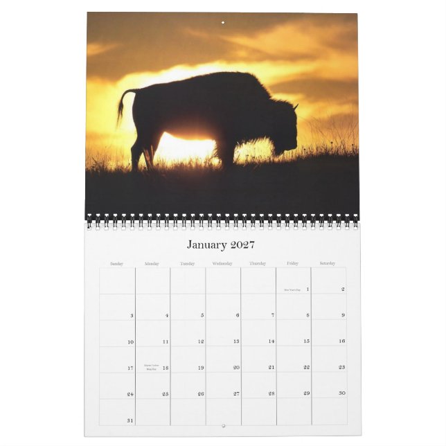 2012 Buffalo Calendar (Jan 2027)