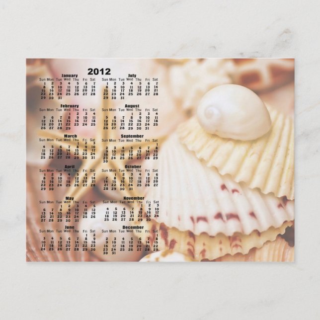 2012 Calendar - Seashell Postcard (Front)