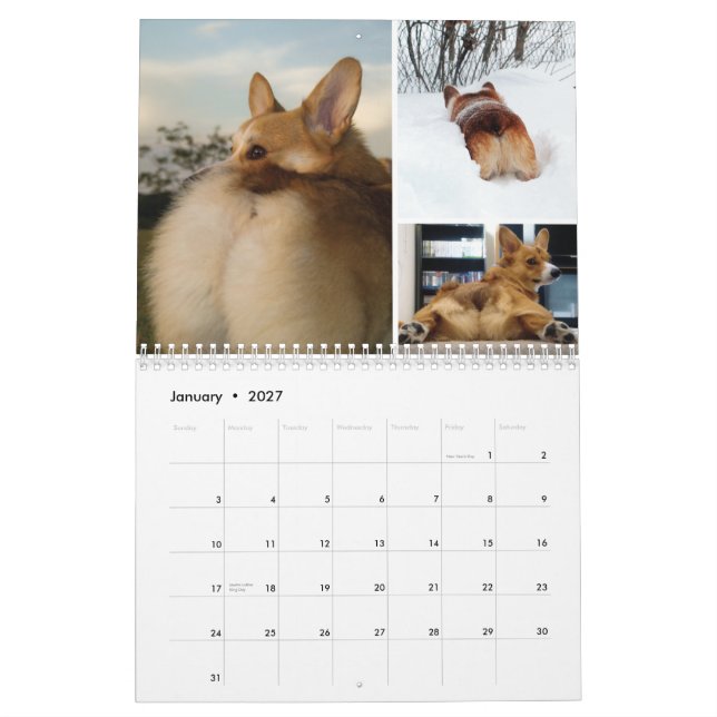 2012 Corgi Butts & Friends Wall Calendar (Jan 2027)