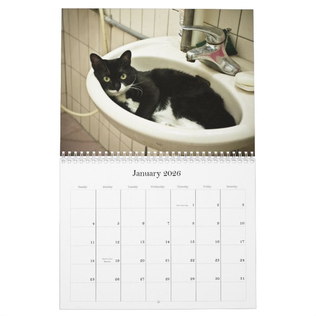 2012 Cute Cats Calendar (Jan 2026)