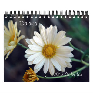 2012 Daisies Wall Calendar
