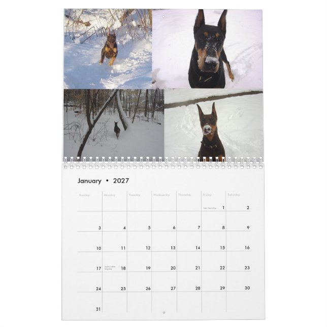 2012 Doberman Calendar  Again (Jan 2027)
