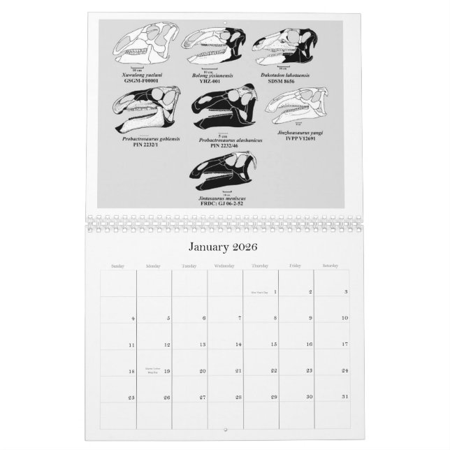 2012 HADROSAUR (HADROSAURIFORMES) SKULL CALENDAR (Jan 2026)