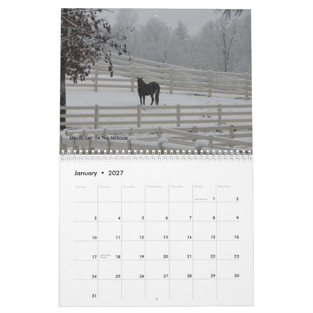 2012 Mountain Horses Calendar (Jan 2027)