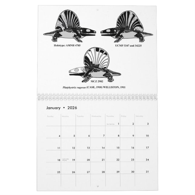 2012 Palaeozoic and Mesozoic Sailed Tetrapods Calendar (Jan 2026)