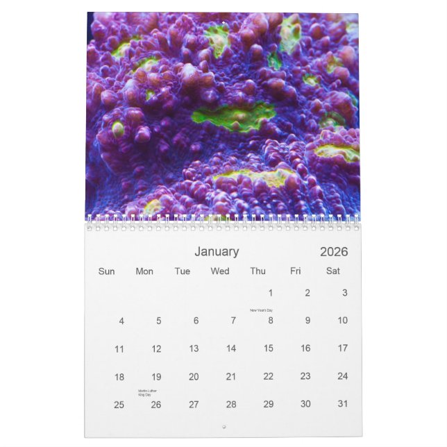 2012 Reef Serenity Calendar (Jan 2026)