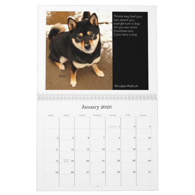 2012 Shiba Inu Calendar (Jan 2026)