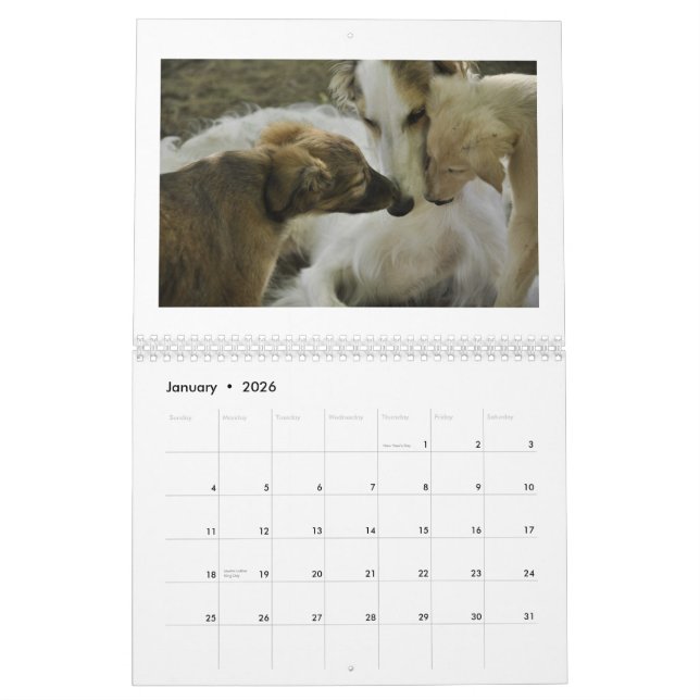 2012 Silken Windhounds Calendar (Jan 2026)