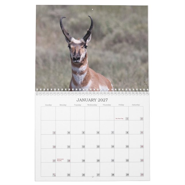 2012 Wells Ranch Calendar (Jan 2027)