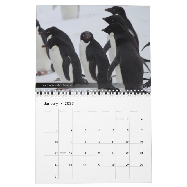 2012 Wildlife & Landscape Calendar (Jan 2027)