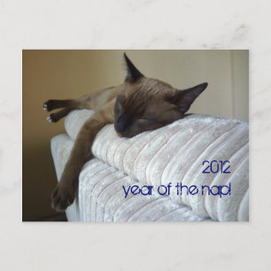 2012 year of the nap holiday postcard
