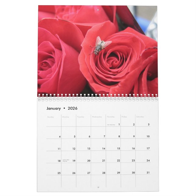 2013-14 Bug Lover's 12 Month Calendar - EGSO (Jan 2026)