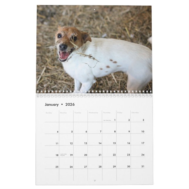 2013 Barn Hunt Assoc Calendar (Jan 2026)