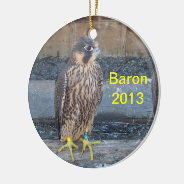 2013 Baron Ornament (Left)