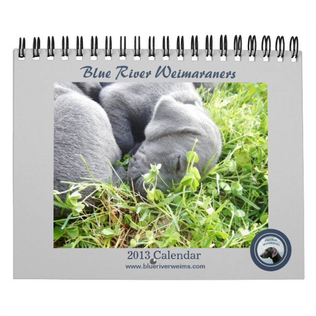 2013 Blue River Weimaraners Calendar (Cover)