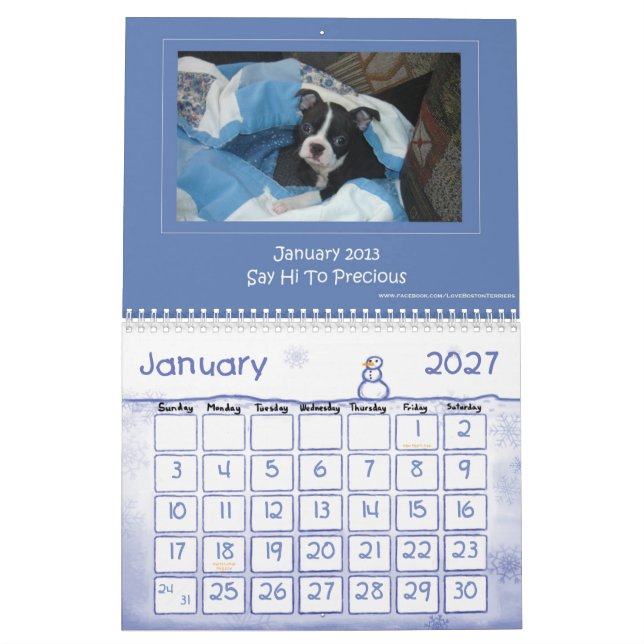 2013 Boston Terrier Calendar (Jan 2027)
