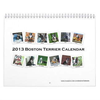 2013 Boston Terrier Calendar