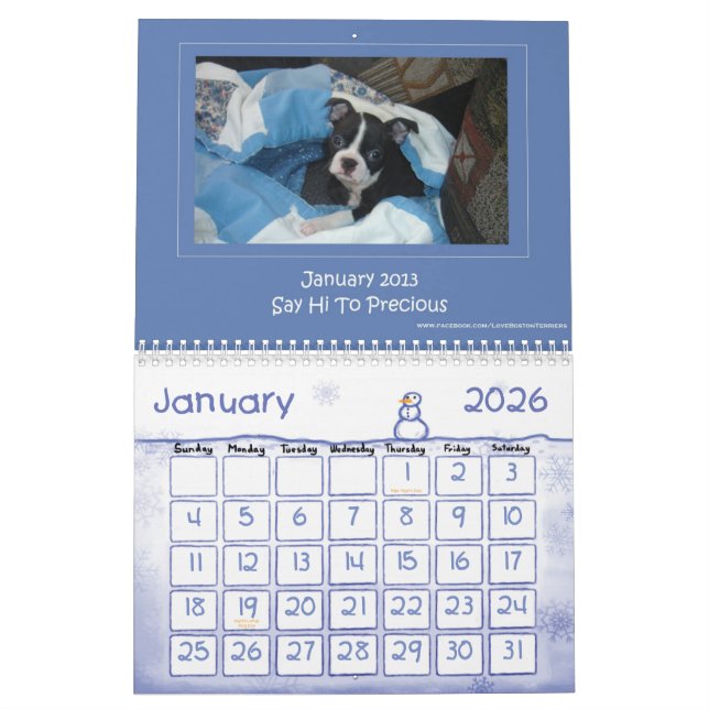 2013 Boston Terrier Calendar (Jan 2026)