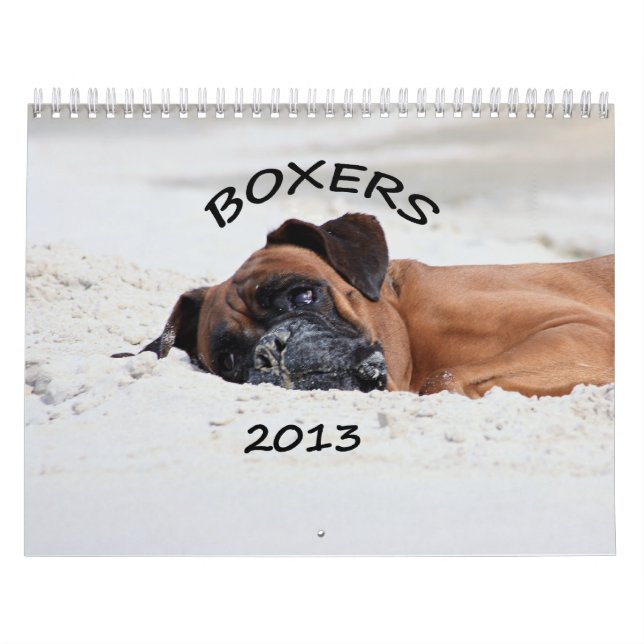 2013 Boxer Calendar (Cover)