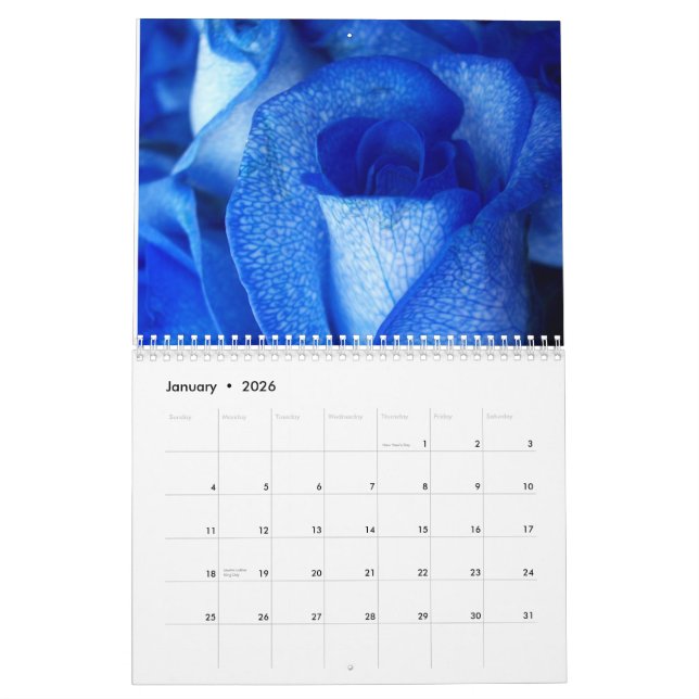 2013 CALENDAR (Jan 2026)