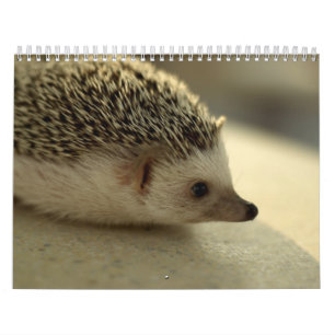 2013 Calendar 4
