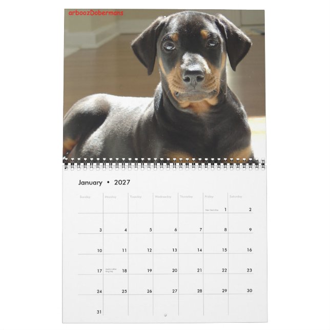 2013 calendar. calendar (Jan 2027)