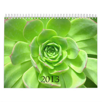 2013 Calendar - Nature