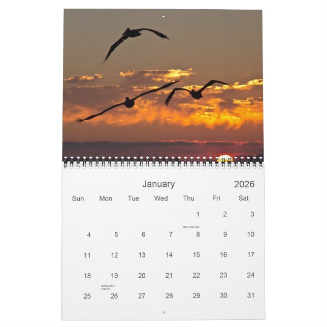 2013 Calendar - Wings (Jan 2026)