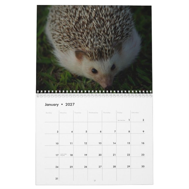 2013 calendrier 3 (Jan 2027)